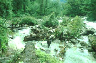 Our horse team fording the flooded Pula River